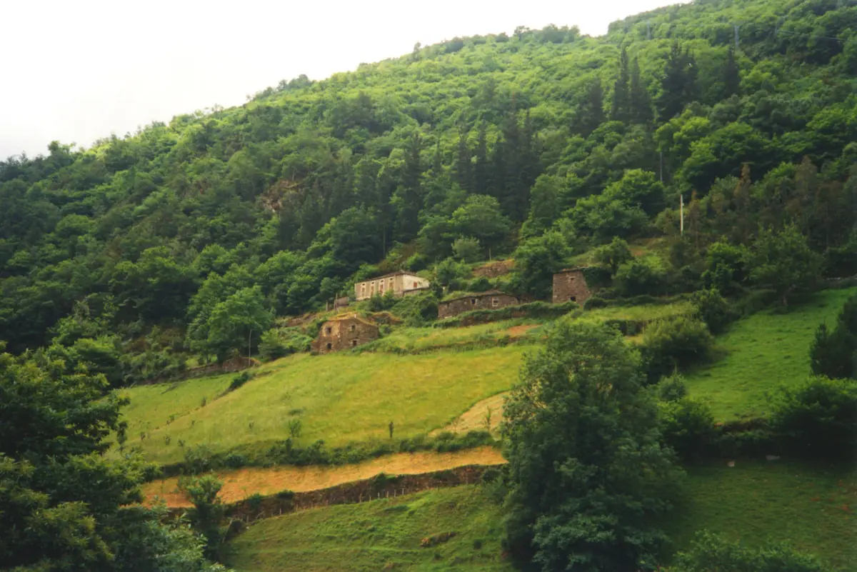 Bosque y paisaje rural en la ruta entre El Teixo y Os Teixois
